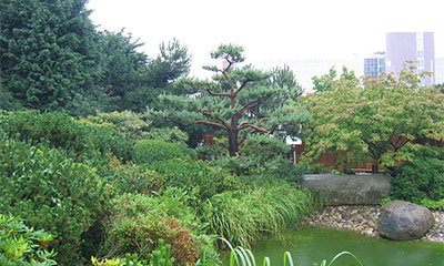 jardin japonais le havre