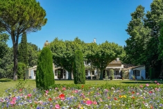 Avignon, Saint Andiol, Propriété sur 4ha avec piscine